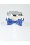 Blue Patterned Bow Tie