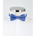 Blue Patterned Bow Tie