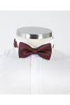 Burgundy Patterned Bow Tie
