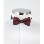 Burgundy Patterned Bow Tie