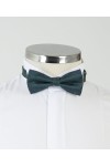 Green Patterned Bow Tie
