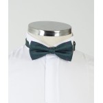 Green Patterned Bow Tie