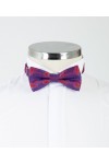 Red and Blue Patterned Bow Tie