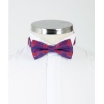 Red and Blue Patterned Bow Tie
